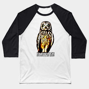 Owl Colorful Baseball T-Shirt